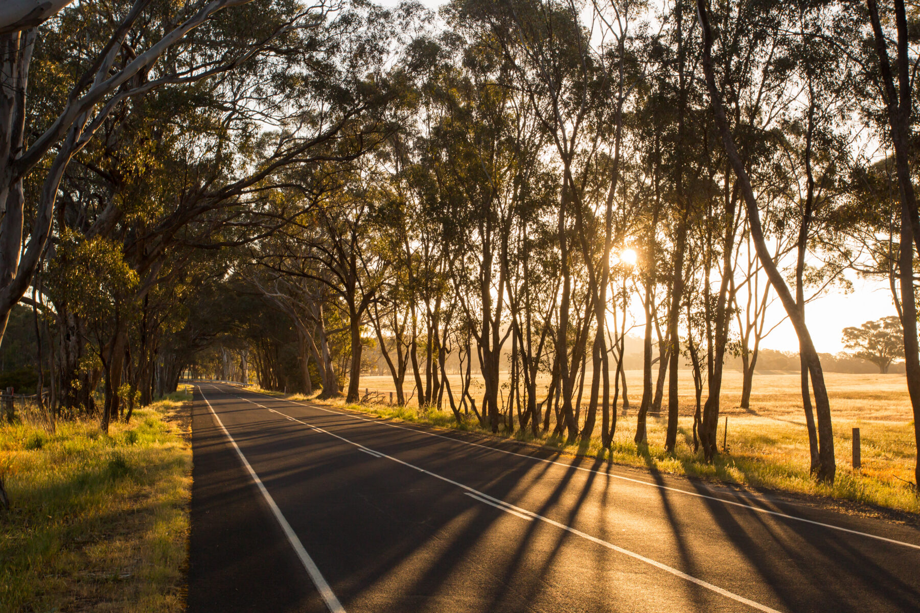 Australian Country Road at Sunset